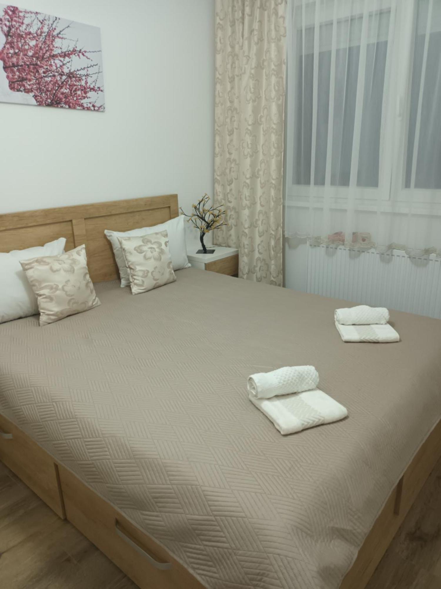 Appartement Katarina 3 à Banja Koviljača Extérieur photo